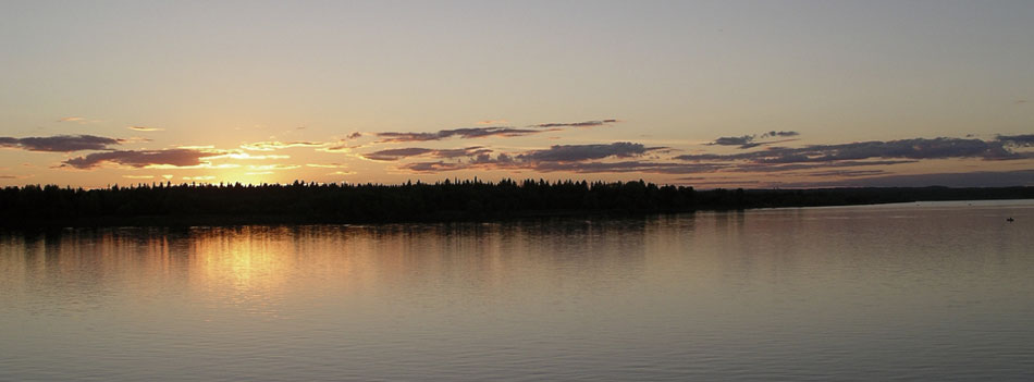 Environmental Policies